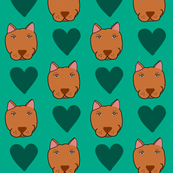 My Heart Belongs to Fiona 