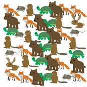 animals