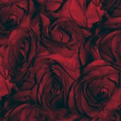 Rrroses_red_variation_bluer_shop_thumb