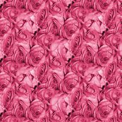 Rpink_roses_shop_thumb
