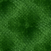 Lizard Skin