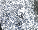 aust_sponflower_design