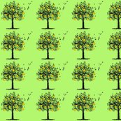 Rorange-tree-orchard_shop_thumb