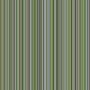 stripes 