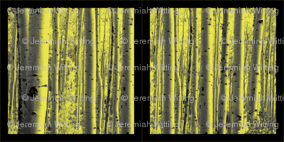 Aspen Forest Pillows