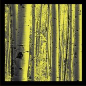 Aspen_pillows_shop_thumb