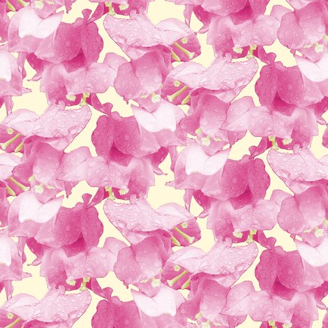 16gyui4_rbougainvillae_flower_shop_preview