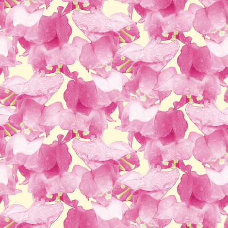 Bougainvillea fabric by pond_ripple on Spoonflower - custom fabric