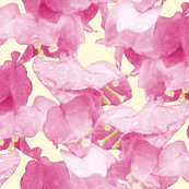 16gyui4_rbougainvillae_flower_shop_thumb