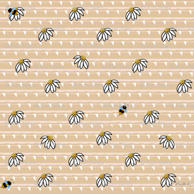 Bees & Daisies