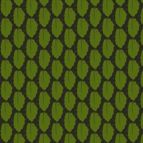 Engelmann Oak Leaf