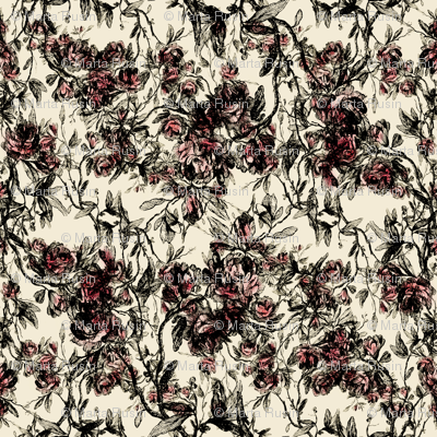 antique rose
