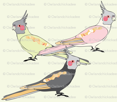Cockatiels - Light