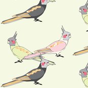 Rcockatiel6_shop_thumb