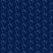 Rrsagconstellation_ed_ed_shop_thumb
