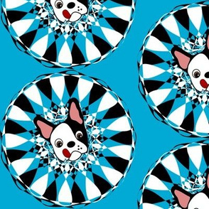 Don't be blue! 