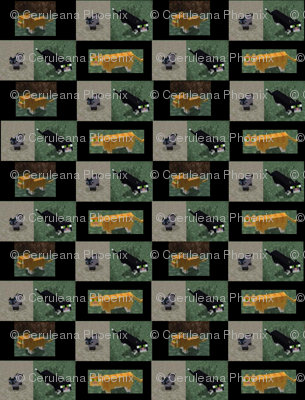 minecraft_kitties-black