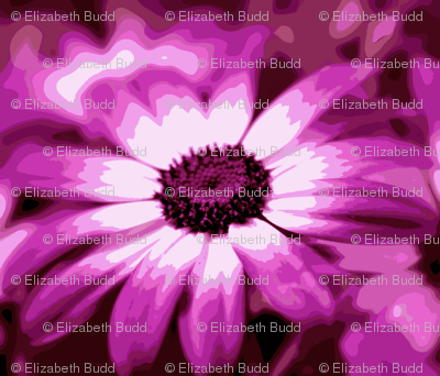 Purple Daisy