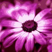 Rpurdaisy_shop_thumb