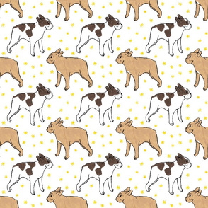 French Bulldog toons and stars