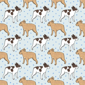 French Bulldog toons and stars - blue