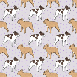 French Bulldog toons and stars - purple