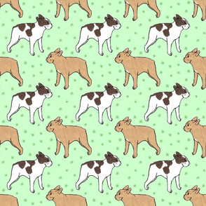 French Bulldog toons and stars - green