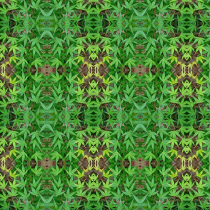 Oriental Maple Leaves_7328