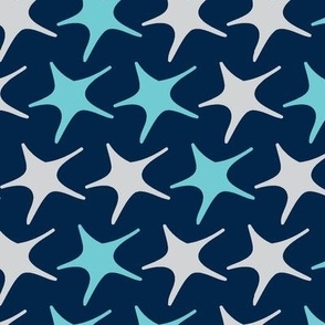 Matisse stars dark blue background