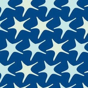 Matisse stars blue