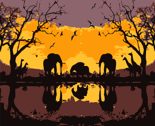 Safari-tour
