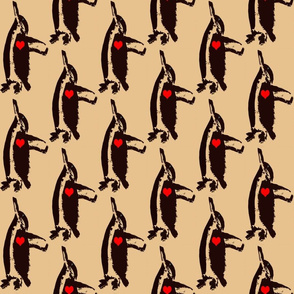 Australian Little Penguin