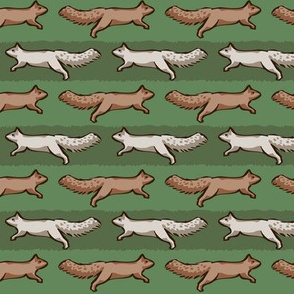 Squirrel Stripe
