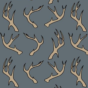 Deer Antlers