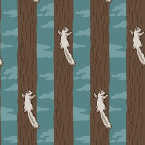 Grey Squirrel Climbs a Tree