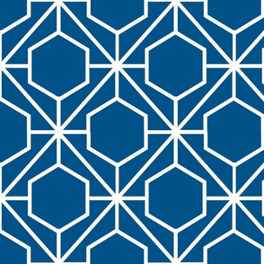 Pretty Web Navy Ground
