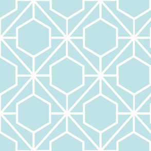 Pretty Web Aqua Ground