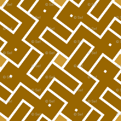 capricorn 4
