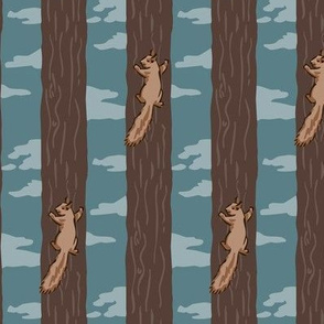 Red Squirrel Climbs a Tree
