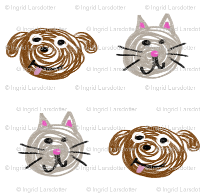 Dog and cat