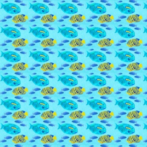 blue_fish_
