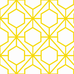 Pretty Web Sunshine