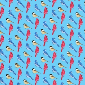 birds_on_blue