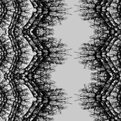 norwgian wood lace