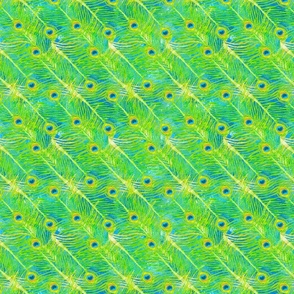 peacock_feathers-