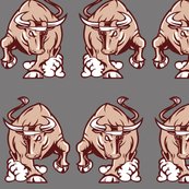 Rrneutral_bull