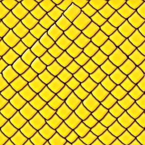 Yellow Garter Snake Skin Scales