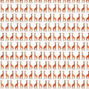 Tangerine Dream Giraffe  by Birds Have Flowers