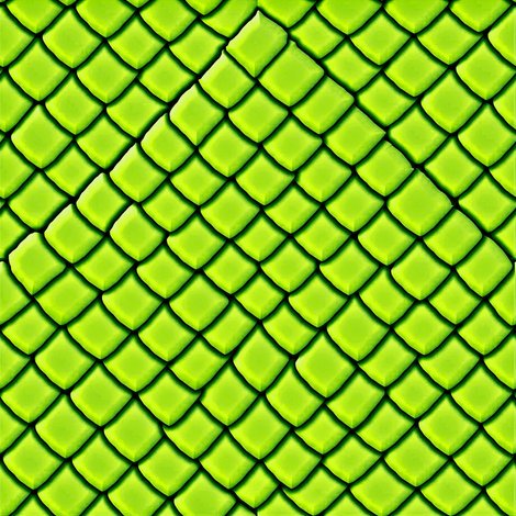 Rsnakeskinscalesgroupfin_ed_ed_ed_shop_preview