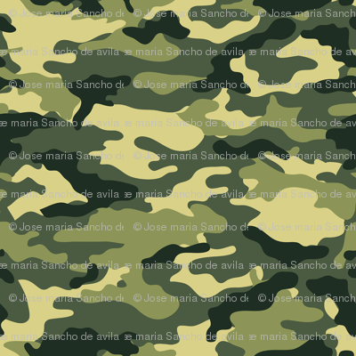 Camouflage commando army forest seamless pattern